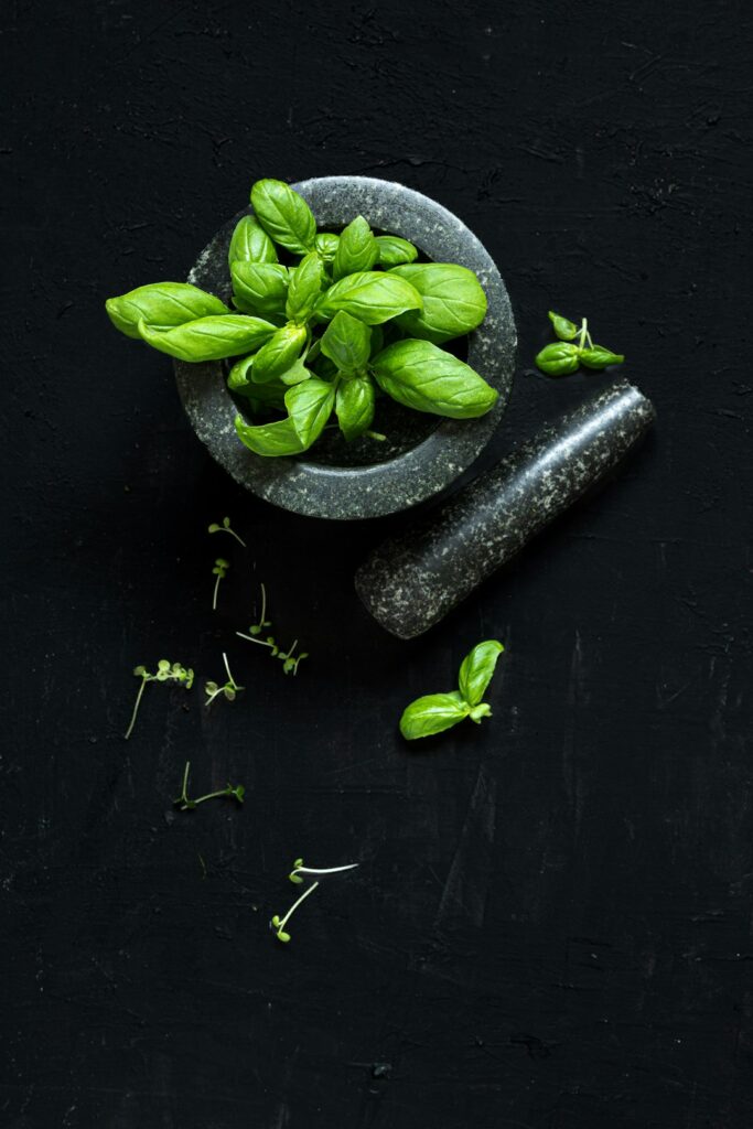Support Detox Package botanical product photo