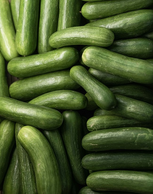 Cucumber
